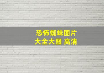 恐怖蜘蛛图片大全大图 高清